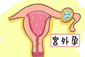 2024朝阳本地不孕不育医院排名推荐内附服务与特点